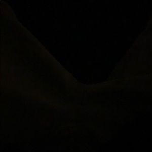 Meet your Posher, Wayne